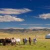 Tour du lịch thảo nguyên Mông Cổ, khởi hành từ Hà Nội: khám phá sa mạc Gobi, lịch trình tham quan, có thiết kế tour riêng, đặt online rẻ hơn trực tiếp 15%..