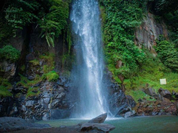 Tour du lịch Jakarta 1 ngày: trekking tham quan Sentul, Bogor, HDV nhiệt tình, tư vấn 24/7, khởi hành hàng ngày, đặt vé online rẻ hơn mua trực tiếp 15%...