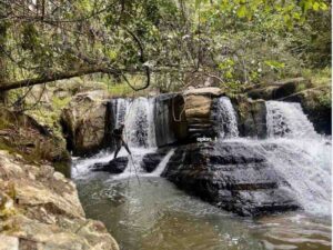 Tour 2 ngày 1 đêm ở Đà Lạt: địa điểm, cung đường trekking, cắm trại Thác Tiên, thiết kế tour riêng, tư vấn 24/7, đặt vé online rẻ hơn mua trực tiếp 15%..