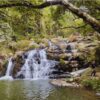 Tour 1 ngày ở Đà Lạt: cung đường, địa điểm trekking Thác Tiên trong ngày, thiết kế tour riêng, có HDV, tư vấn 24/7, đặt vé online rẻ hơn mua trực tiếp 15%..