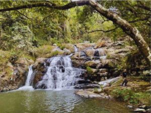 Tour 1 ngày ở Đà Lạt: cung đường, địa điểm trekking Thác Tiên trong ngày, thiết kế tour riêng, có HDV, tư vấn 24/7, đặt vé online rẻ hơn mua trực tiếp 15%..
