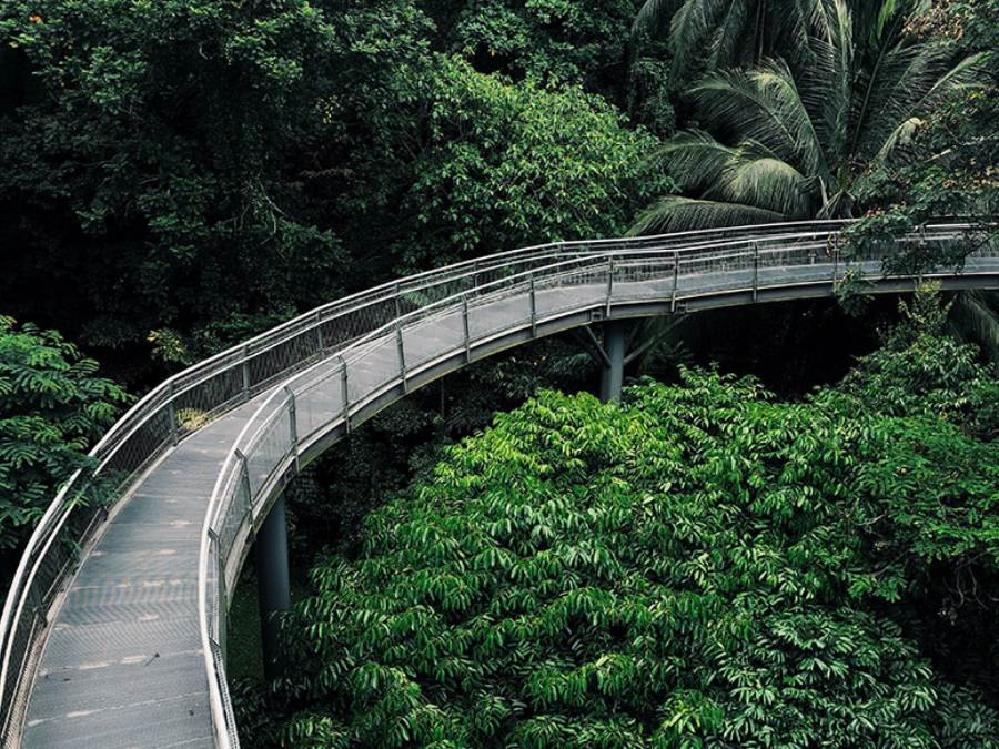 Tour hiking tham quan tại Singapore 1 ngày: khám phá các địa điểm nổi tiếng tại đây, du lịch Singapore tự túc