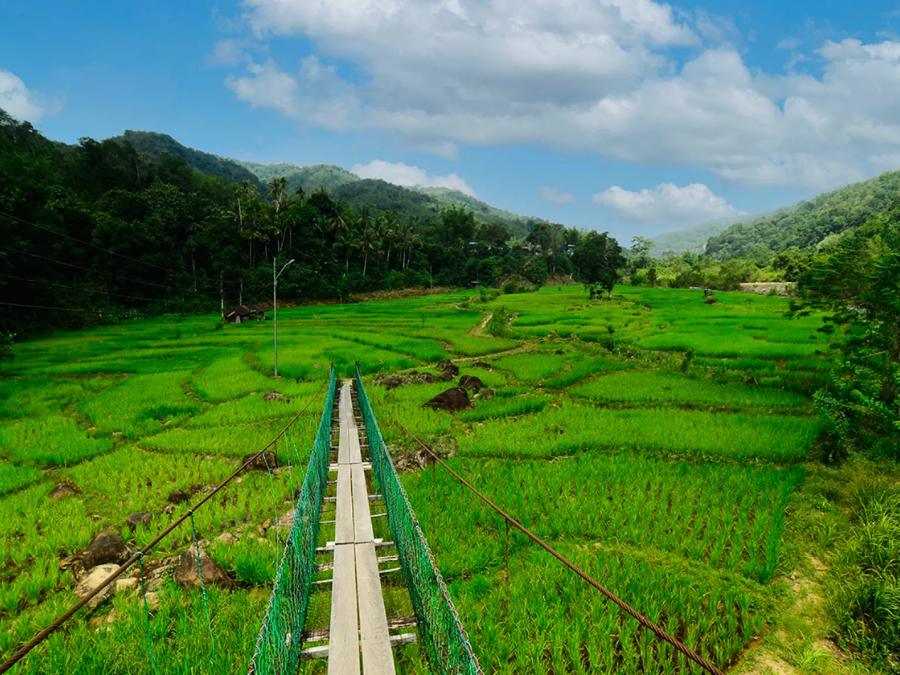 Tour du lịch bằng xe đạp 1 ngày khám phá Kiulu: khám phá nông thôn, du lịch bụi ở Malaysia