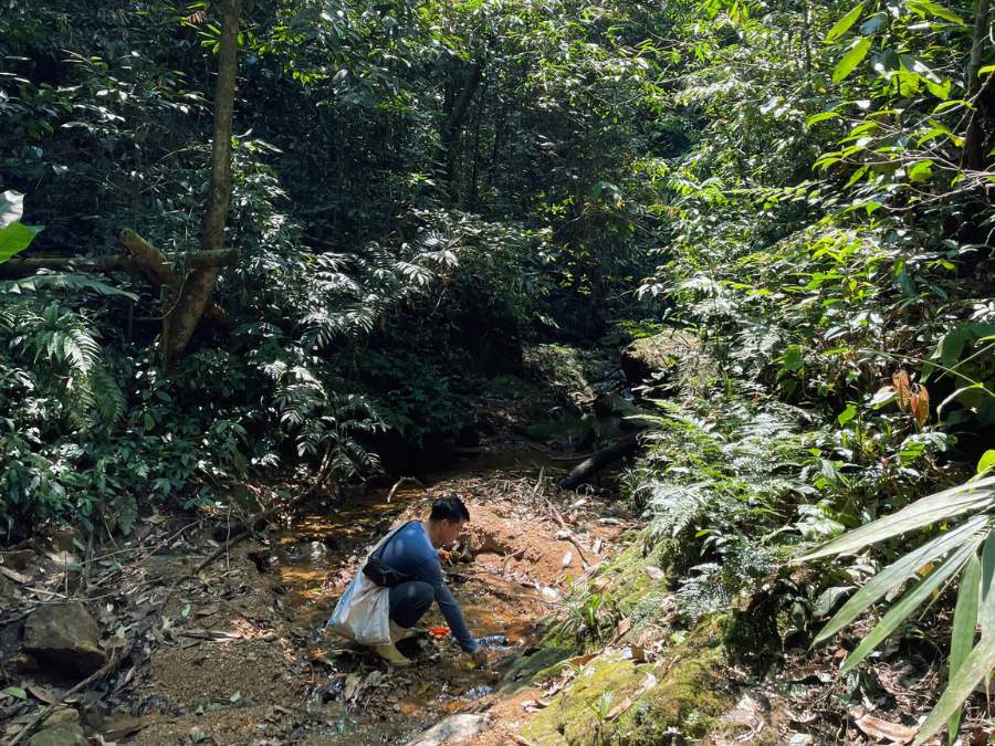 Tour trekking VQG Xuân Liên ở Thường Xuân Thanh Hoá: tuyến trekking thăm cây di sản Pơ mu Sa mu & khu bảo tồn thiên nhiên Xuân Liên