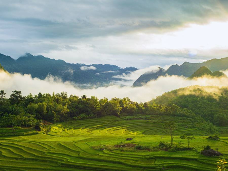 Tour thăm VQG Xuân Liên ở Thường Xuân Thanh Hoá: tuyến trekking khám phá cây di sản Pơ mu Sa mu & khu bảo tồn thiên nhiên Xuân Liên