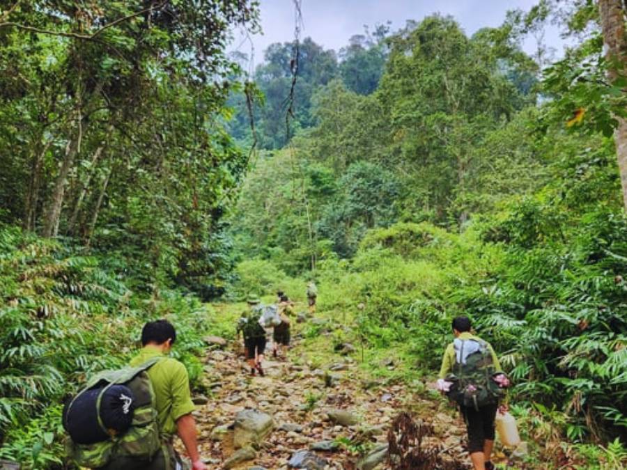 Tuyến trekking thăm cây di sản Pơ mu Sa mu & khu bảo tồn thiên nhiên Xuân Liên