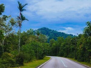 Du lịch bụi ở Malaysia: tour hiking đồi Belungkor, 1 ngày khám phá Johor, HDV nhiệt tình, uy tín, tư vấn 24/7, đặt vé online giá rẻ hơn mua trực tiếp 15%...