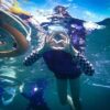 Du lịch Kota Kinabalu tự túc: tour lặn biển đảo Dinawan, HDV uy tín, giàu kinh nghiệm, tư vấn nhanh chóng 24/7, đặt vé online giá rẻ hơn mua trực tiếp 15%..