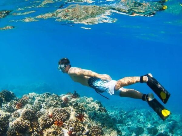 Du lịch bụi Malaysia: tour 1 ngày lặn biển ở đảo Manukan & Sapi, HDV nhiều kinh nghiệm, tư vấn nhanh chóng 24/7, đặt vé online giá rẻ hơn mua trực tiếp 15%