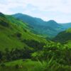 Tour hai miền Trung - Nam: địa điểm trekking gần TP.HCM, khám phá vườn quốc gia Bidoup - Tà Giang, tư vấn 24/7, đặt vé online giá rẻ hơn mua trực tiếp 15%..