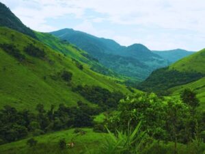 Tour hai miền Trung - Nam: địa điểm trekking gần TP.HCM, khám phá vườn quốc gia Bidoup - Tà Giang, tư vấn 24/7, đặt vé online giá rẻ hơn mua trực tiếp 15%..