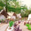 Du lịch Xuyên Mộc, Bà Rịa - Vũng Tàu: trekking, chèo sup, cắm trại (glamping), thiết kế tour teambuilding gần TP.HCM, đặt vé online rẻ hơn mua trực tiếp 15%