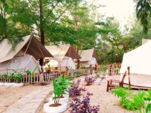Du lịch Xuyên Mộc, Bà Rịa - Vũng Tàu: trekking, chèo sup, cắm trại (glamping), thiết kế tour teambuilding gần TP.HCM, đặt vé online rẻ hơn mua trực tiếp 15%