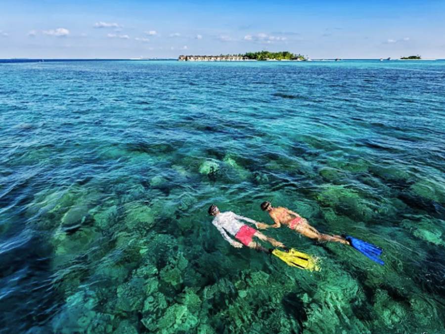 Tour lặn biển ở đảo Semporna, Malaysia 1 ngày: trải nghiệm du lịch bụi