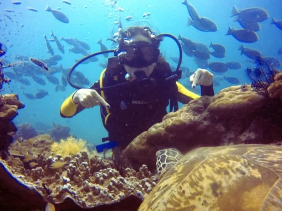 Tour lặn biển ở đảo Semporna, Malaysia 1 ngày: trải nghiệm du lịch bụi