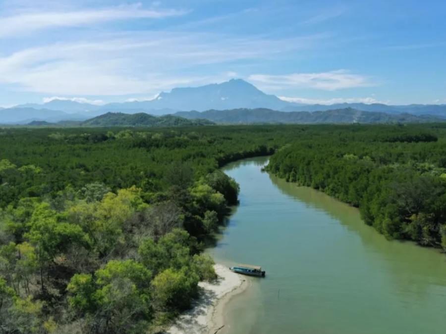 Tour chèo kayak khám phá rừng ngập mặn Tuaran ở Sabah, Malaysia 1 ngày: kinh nghiệm du lịch bụi