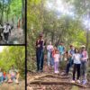 Tour trekking 2 ngày 1 đêm gần TP.HCM: leo núi Dinh, cắm trại ở bãi cắm trại suối Tiên tại Bà Rịa - Vũng Tàu, có thiết kế teambuilding, đặt vé online giá rẻ