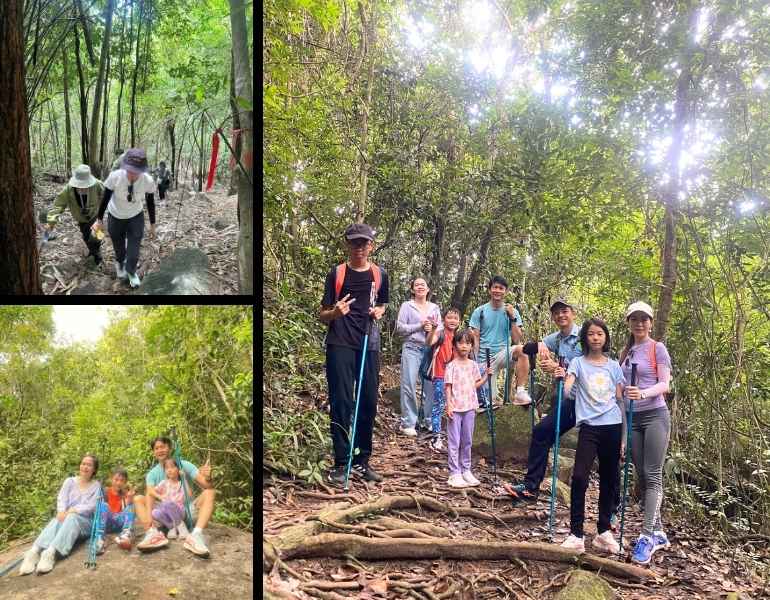 Tour trekking 2 ngày 1 đêm gần TP.HCM: leo núi Dinh, cắm trại ở bãi cắm trại suối Tiên tại Bà Rịa - Vũng Tàu, có thiết kế teambuilding, đặt vé online giá rẻ