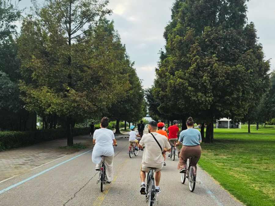 Tour đạp xe trên sông Hàn ở Seoul 1 ngày, kinh nghiệm du lịch bụi Hàn Quốc