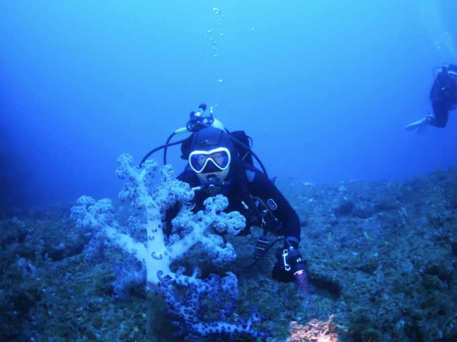 Tour lặn biển có bình dưỡng khí ở đảo Jeju 1 ngày, kinh nghiệm đi du lịch bụi Hàn Quốc giá rẻ & an toàn