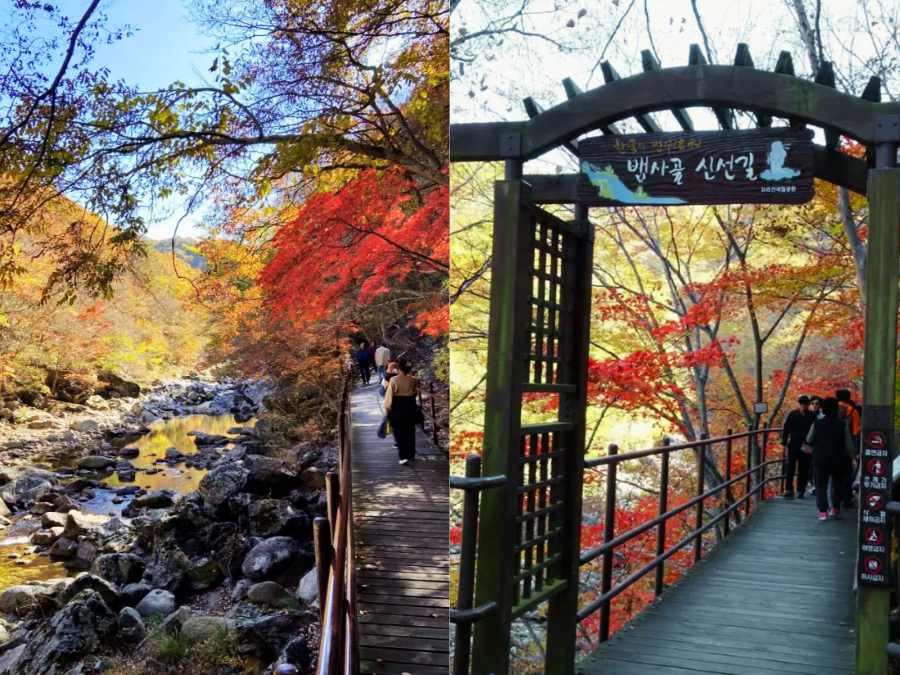 Tour trải nghiệm trekking leo núi Jiri Hàn Quốc 1 ngày, kinh nghiệm du lịch tự túc ở Busan giá rẻ & an toàn