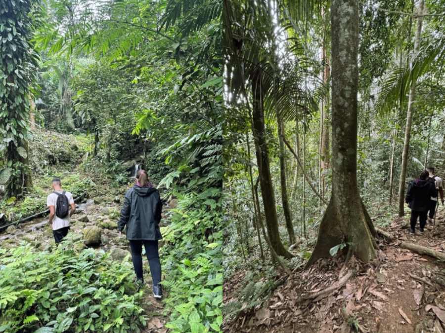 Tour trekking leo núi Gopeng ở Perak 1 ngày, kinh nghiệm du lịch bụi tự túc ở Malaysia giá rẻ & an toàn,