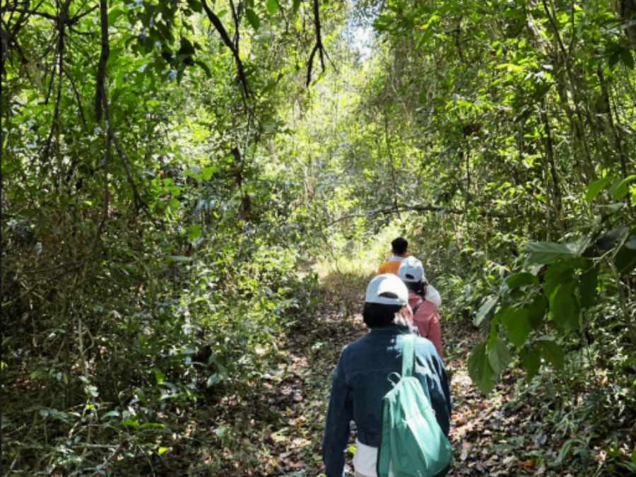 Tour trekking - đạp xe - chèo SUP rừng Mã Đà, hồ Trị An 1 ngày, thiết kế tour du lịch riêng & teambuilding gần TP.HCM