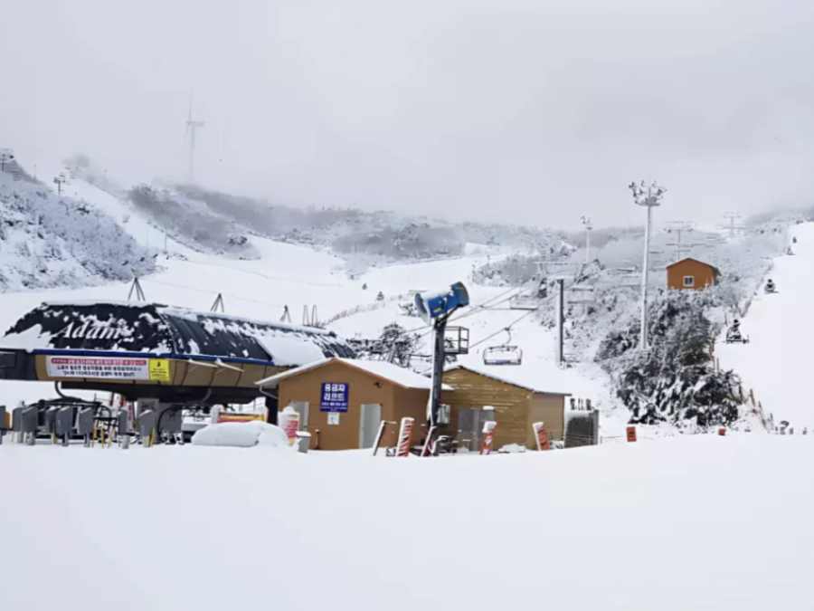 Tour trượt tuyết ở Busan 1 ngày, kinh nghiệm du lịch tự túc Hàn Quốc giá rẻ & an toàn