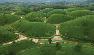 Tour trekking Vườn Quốc Gia Xuân Sơn hấp dẫn, du lịch đến các địa điểm nổi tiếng ở Phú Thọ giá rẻ