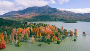 Tour trekking rừng Phong Hương & du ngoạn hồ thuỷ điện Rào Quán, du lịch 1 ngày khám phá các địa điểm nổi tiếng ở Khe Sanh, Quảng Trị.