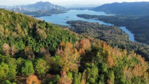 Tour trekking - cắm trại rừng Phong Hương & chèo SUP ở hồ thuỷ điện Rào Quán, khám phá các địa điểm nổi tiếng ở Quảng Trị.