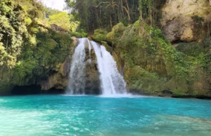 Tour du lịch kinh nghiệm vượt thác Kawasan lặn biển với ngắm cá mập nhám voi 1 ngày ở Cebu