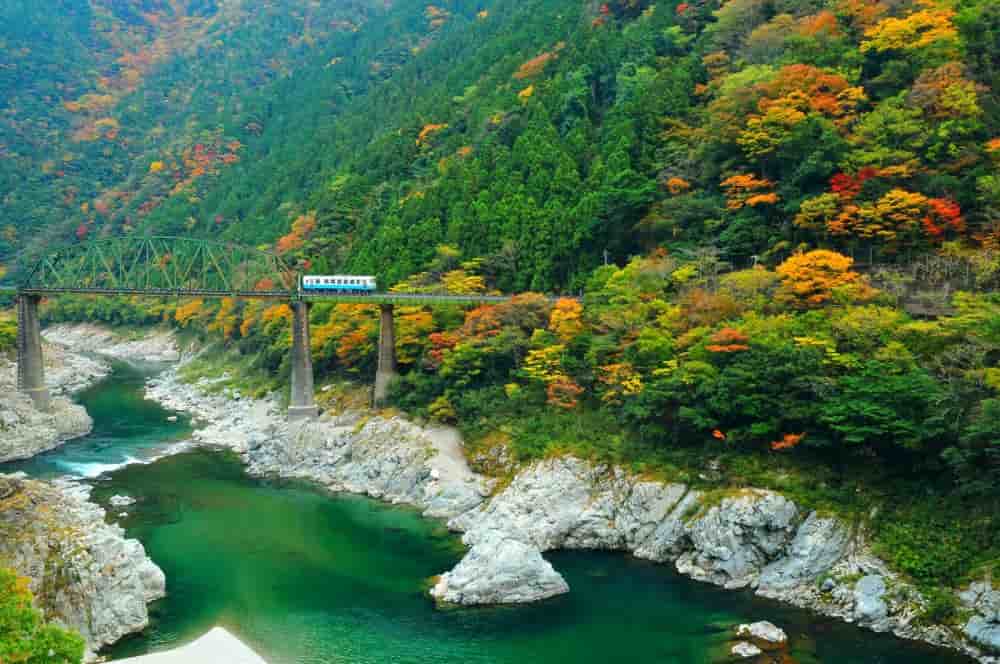 Kinh nghiệm đi tour 1 ngày du lịch các địa điểm Tokushima, trượt zipline Iya