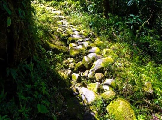Hành trình tour trekking con đường đá cổ Pavie/Pavi xuyên rừng nguyên sinh Tây Bắc, tham quan các địa điểm du lịch Sapa giá rẻ