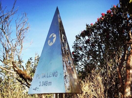 Tham gia tour trekking leo núi Putaleng để có kinh nghiệm đi du lịch giá rẻ, khám phá mùa hoa đỗ quyên rực rỡ
