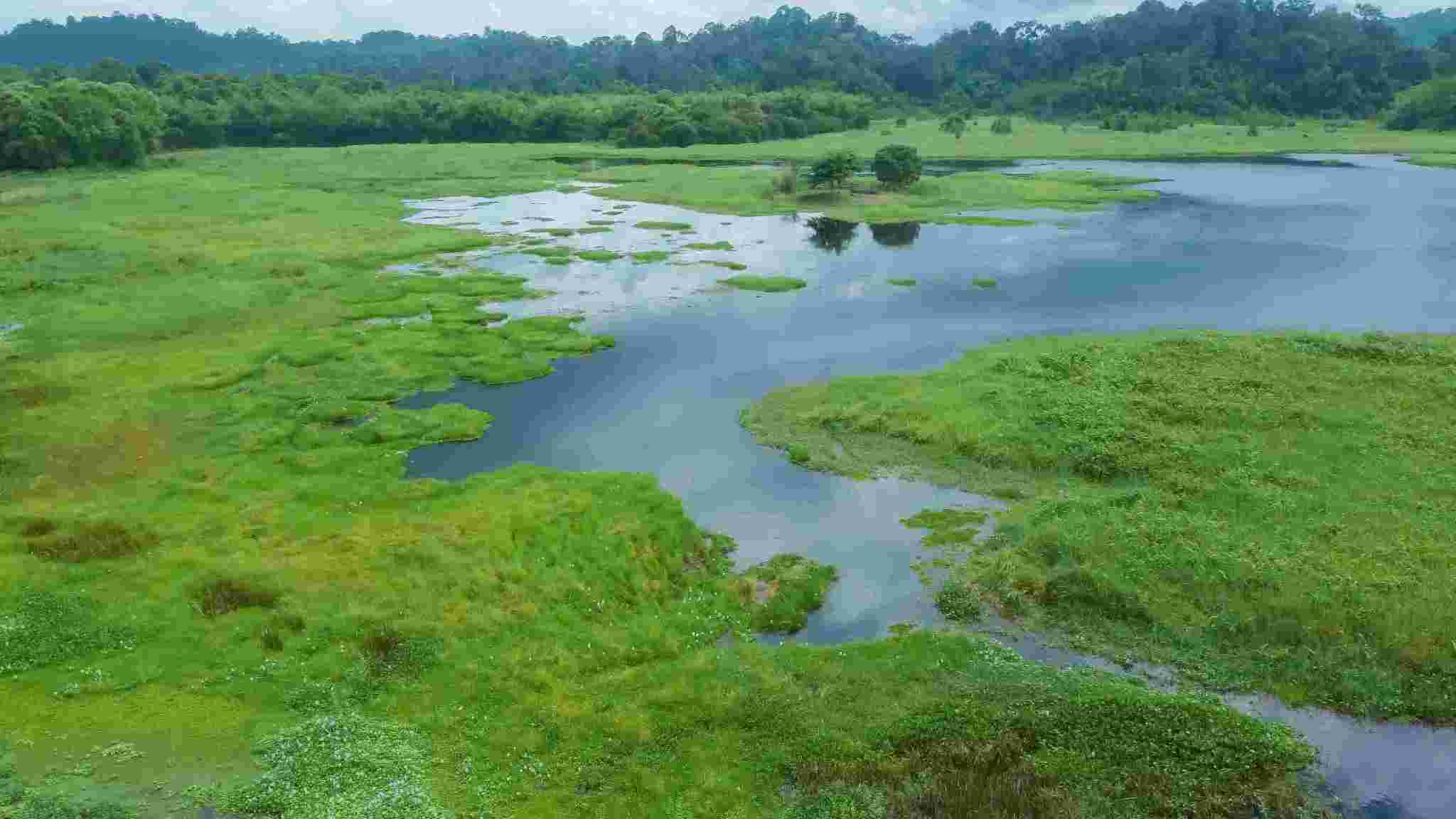 Tour trekking tại một trong những địa điểm ở miền Nam: du lịch Tà Lài, chèo kayak trên sông, hiking rèn sức khỏe