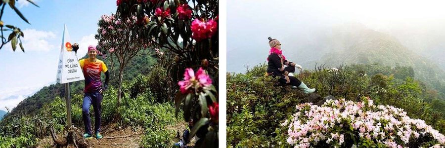 Tour trekking núi Đỗ Quyên ở Sapa: Khám phá các địa điểm du lịch nổi tiếng tại Tây Bắc giá rẻ cùng HDV bản địa