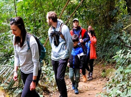 Tham gia tour hiking vườn quốc gia Cúc Phương nhẹ nhàng trong ngày, trải nghiệm thiên nhiên - rừng nguyên sinh tại địa điểm hiking gần Hà Nội