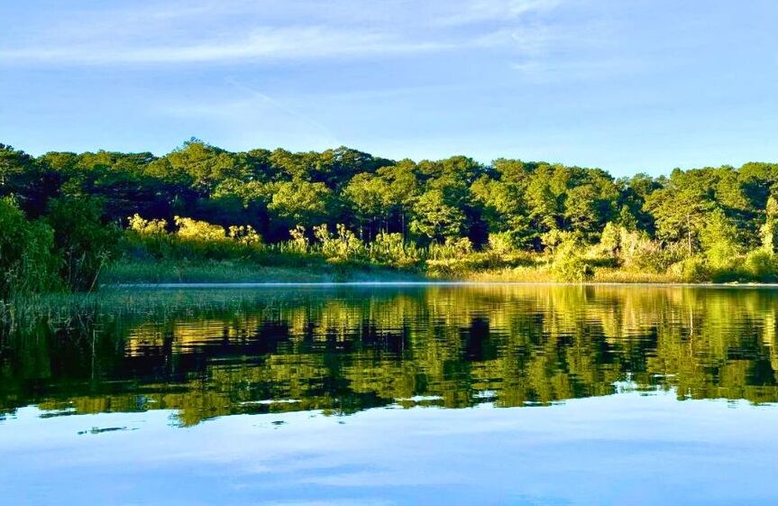 Tour hiking tại Đà Lạt, trải nghiệm cắm trại và chèo SUP ở hồ Tuyền Lâm