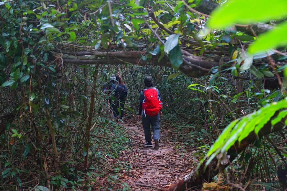 Trekking rừng Gia Canh, abseiling ở miền nam Việt Nam, cắm trại thác mai bàu nước sôi.