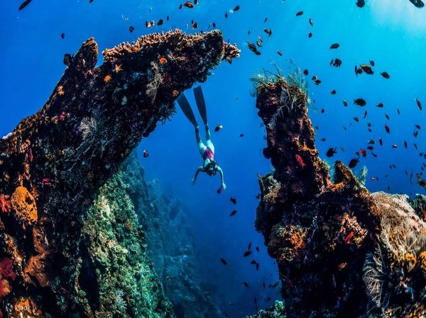 Tour du lịch Bali tự túc, kinh nghiệm lặn biển ở Amed