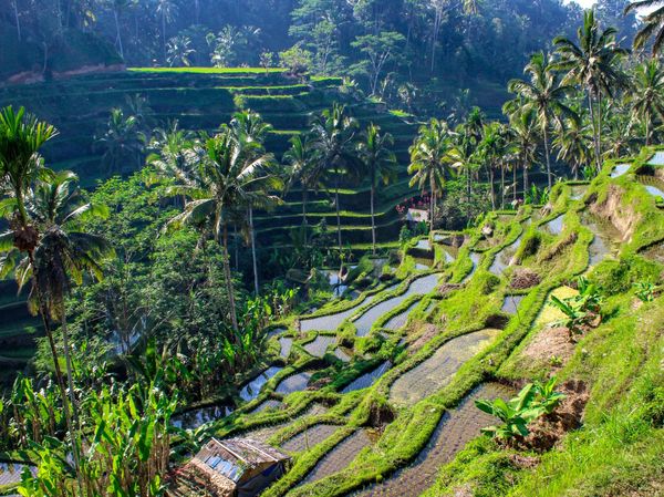 Tour du lịch Bali tự túc, kinh nghiệm đặt vé canyoning