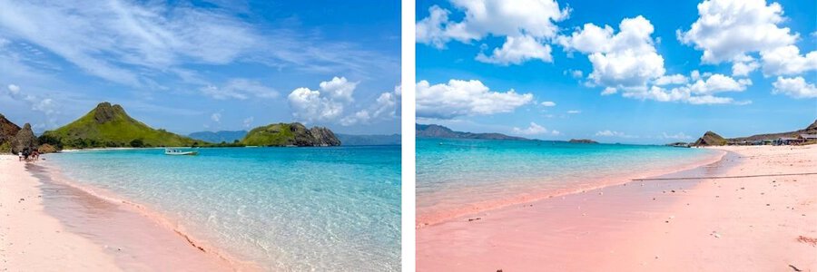 Kinh Nghiệm Du Lịch Đảo Komodo 1 Ngày Từ Bali: Tour Đảo Padar & Biển Hồng Indonesia