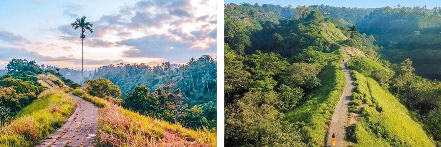 Tour white rafting ở Ubud : Khám phá các địa điểm du lịch & chơi swing kết hợp chèo thuyền vượt sông Ayung, lái xe ATV tại Bali