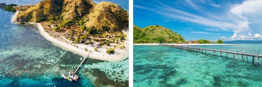 Kinh Nghiệm Du Lịch Đảo Komodo 1 Ngày Từ Bali: Tour Đảo Padar & Biển Hồng Indonesia