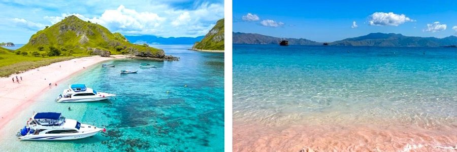 Kinh Nghiệm Du Lịch Đảo Komodo 1 Ngày Từ Bali: Tour Đảo Padar & Biển Hồng Indonesia