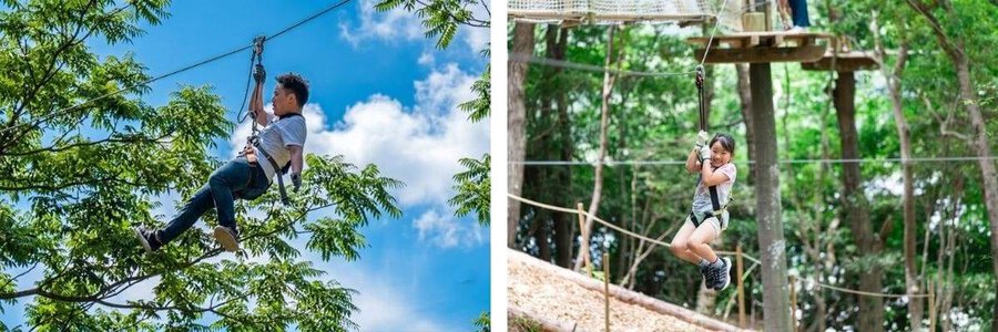 Tour 1 ngày ở Fukuoka: Chia sẻ kinh nghiệm du lịch & tham gia vé trượt zipline giá rẻ, lịch trình chi tiết tại Hisayama