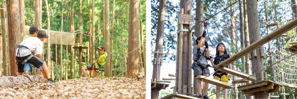 Tour 1 ngày ở Fukuoka: Chia sẻ kinh nghiệm du lịch & tham gia vé trượt zipline giá rẻ, lịch trình chi tiết tại Hisayama