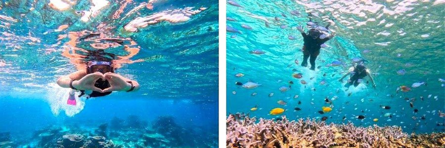 Tour lặn biển ở đảo Barasu: Kinh nghiệm du lịch Okinawa 1 ngày với dịch vụ snorkeling & lặn sinh vật biển bằng lặn ống thở