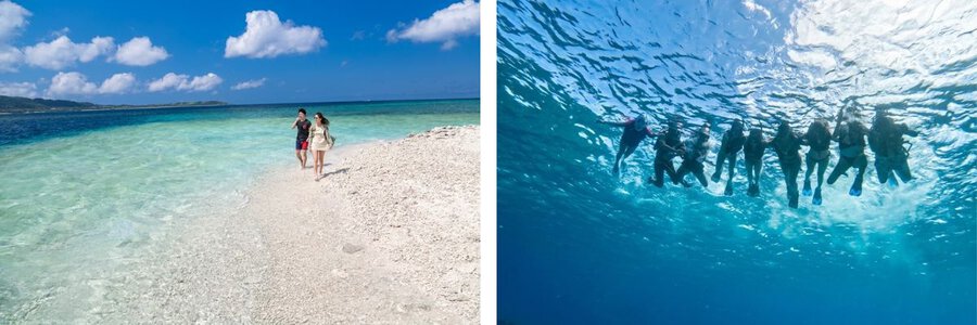 Tour lặn biển ở đảo Barasu: Kinh nghiệm du lịch Okinawa 1 ngày với dịch vụ snorkeling & lặn sinh vật biển bằng lặn ống thở